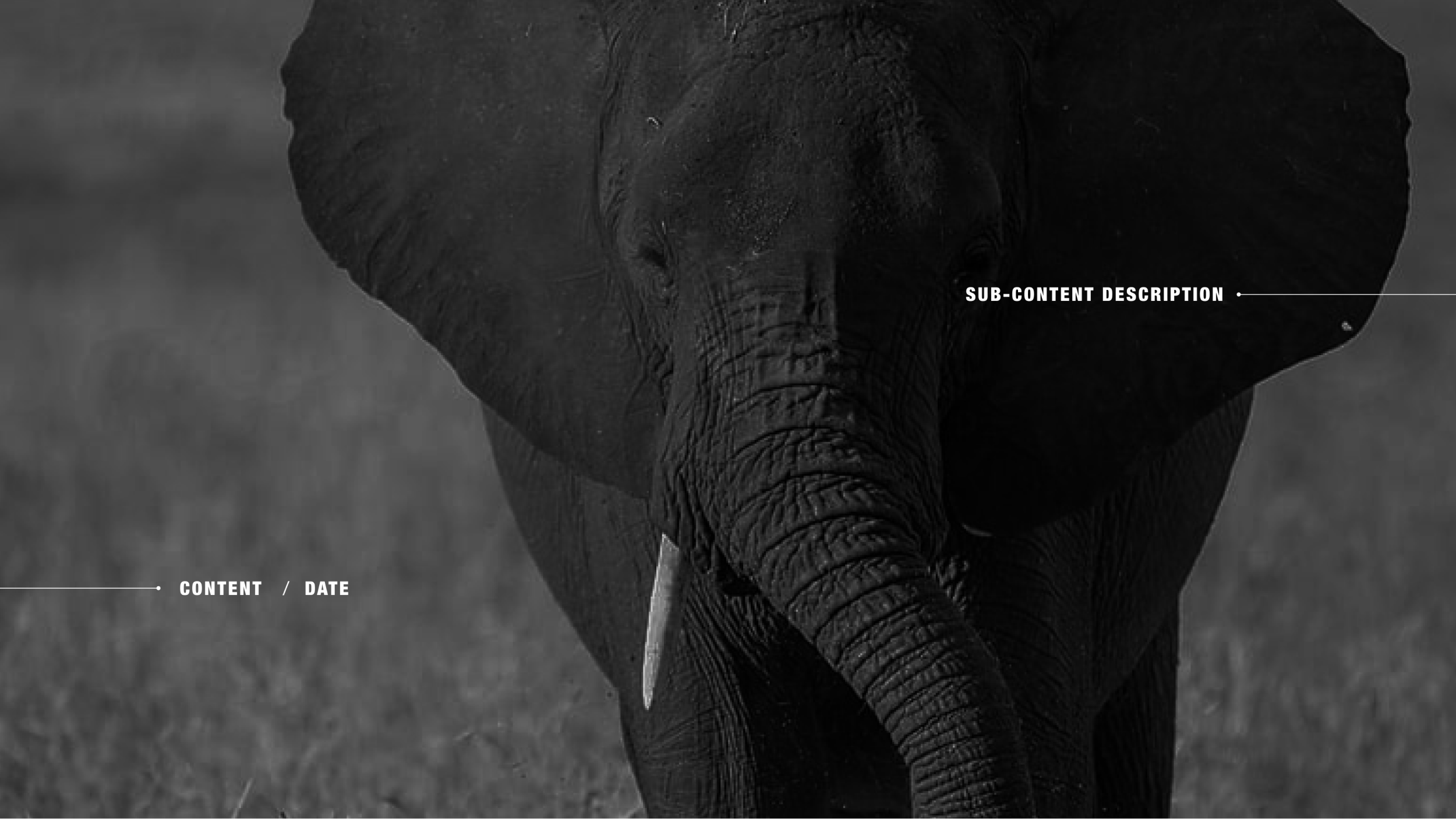 tembo